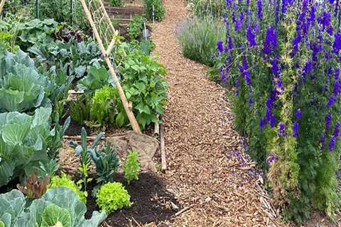 Community Services in Southern Maryland: How to Get Involved with Community Gardening and Urban..