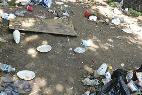 Addressing Poverty and Homelessness in Southwestern Missouri: Insights from Local Organizations