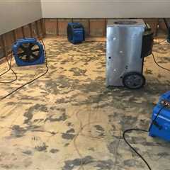 Water Damage Mesa AZ: Hidden Dangers & Restoration Solutions