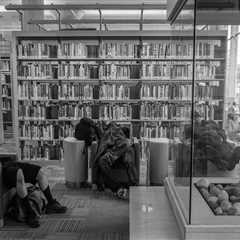 The Essential Role of Libraries in Supporting Writers in Minneapolis, MN