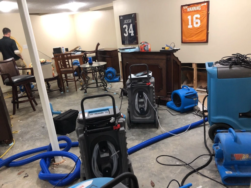 Prevent Water Damage: Key Warning Signs