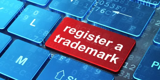 Navigating the Survey Seas: The Timing and Impact of Survey Evidence in Trademark Litigation