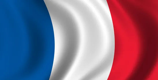 No Holidays for Trademarks at Risk of Becoming Generic