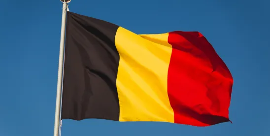 Belgium – the Summer Agreement : A Little Ray of Sunshine for Belgian Employers?