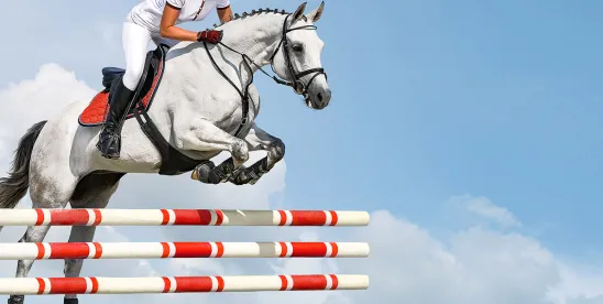Legal Considerations for Insuring an Equine Business: Guidance for Boarding Stables and Event Hosts