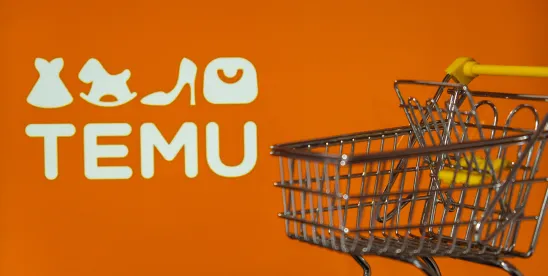 Kentucky Attorney General Sues Temu Over Alleged Privacy Violations