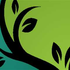 Exploring Functional Medicine Approaches In Charleston County Primary Care