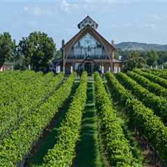 Expert Insights: Navigating the Cancellation Policy for Wine Tours in Harris County, Texas