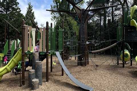 The Ultimate Guide to Outdoor Activities in Chevy Chase, Maryland