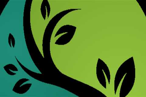 Exploring Functional Medicine Approaches In Charleston County Primary Care