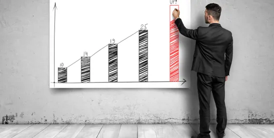 Where Did All My Profits Go?: A Practical Guide to Understanding and Managing Working Capital