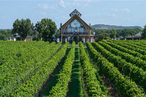 Expert Insights: Navigating the Cancellation Policy for Wine Tours in Harris County, Texas