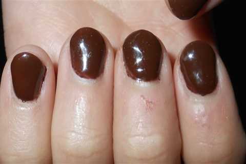 The Best Nail Polish Brands for Salons in Kalamazoo County, Michigan