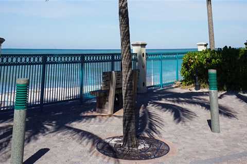 Exploring the Best Public Transportation Options in Vero Beach, FL