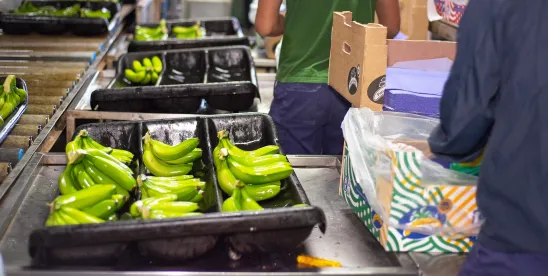 Food and Chemicals Unpacked: EPR You Keeping Up? [Podcast]