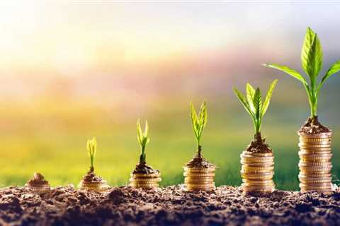 Boost Growth with Financial Ratios