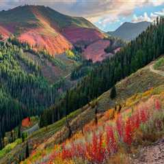 The Evolution of Reservations and Cancellations in the Hospitality Industry in Utah County, Utah