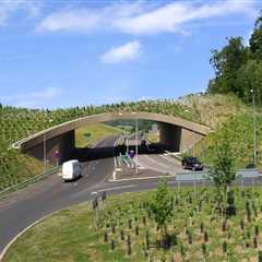 The Connection Between Landscape Engineering and Public Safety