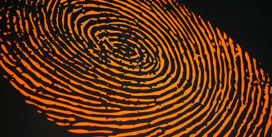 International Update: Canada and New Zealand