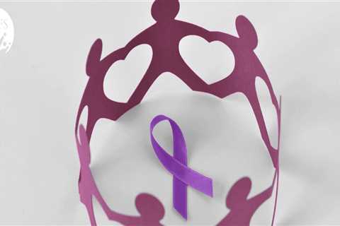 Community Programs in Fairfax County, VA: Supporting Victims of Domestic Violence