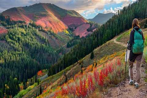 The Evolution of Reservations and Cancellations in the Hospitality Industry in Utah County, Utah