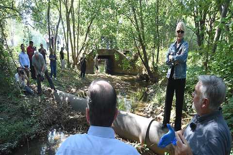 The Power of Media Engagement for Advocacy Groups in Northeast Tennessee