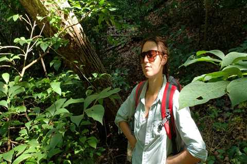 The Power of Advocacy: Promoting a Greener Northeast Tennessee