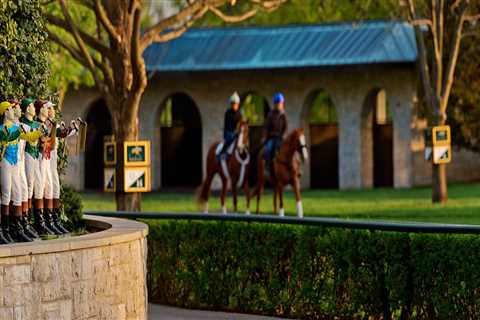 The Art of Fundraising for Charitable Organizations in Central Kentucky