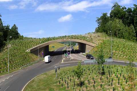 The Connection Between Landscape Engineering and Public Safety