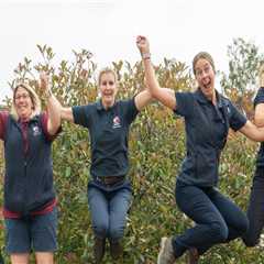 The Impact of Professional Sports Teams in Hampden County, Massachusetts