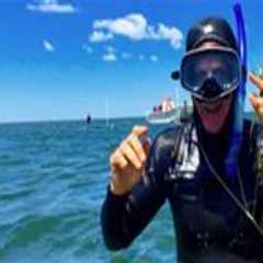 Exploring the World of Community Organizations in Northern Virginia