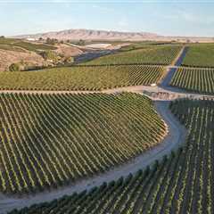 Sustainable Practices in the Wine Industry of Southwest Washington