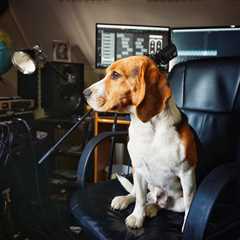 Monday Morning Accounting News Brief: Guy Ditches Big 4 For the 1s and 2s; Auditors Warned the..