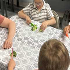 The Impact of Food Programs on Children in Southern New Hampshire