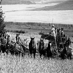 Maximizing Tax Benefits for Small Farms in Southeastern Washington