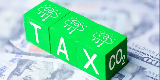 IRS Guidance Clarifies Tax Treaty Benefits on Branch Profits Tax for Funds and Multinationals Using ..