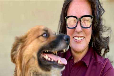 The Importance of Animal Shelters in Southeast SC