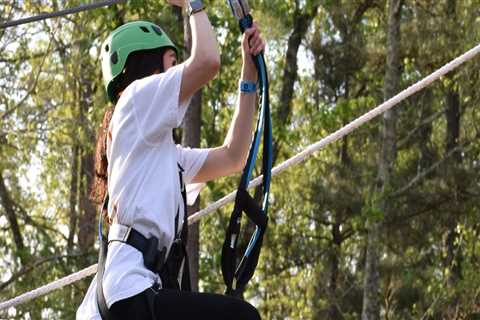 The Diverse World of Community Programs in North Central Texas