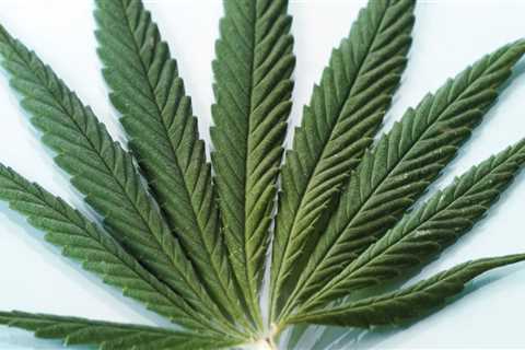 The Importance of Testing and Quality Control for Cannabis Products in Southwest Washington