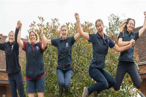 The Impact of Professional Sports Teams in Hampden County, Massachusetts