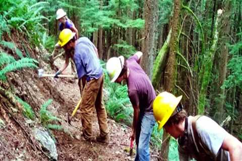 The Impact of Long-Term Volunteer Programs in Southeastern Washington