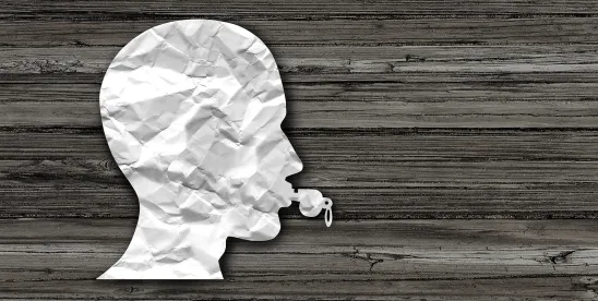 Colorado Federal Court Dismisses SOX and Dodd-Frank Whistleblower Claims, Emphasizing..