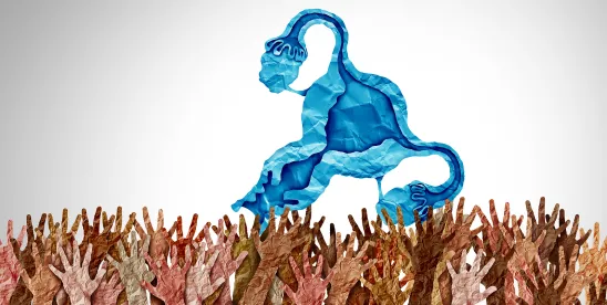 First Law in Country to Explicitly Include Menopause as Protected Condition