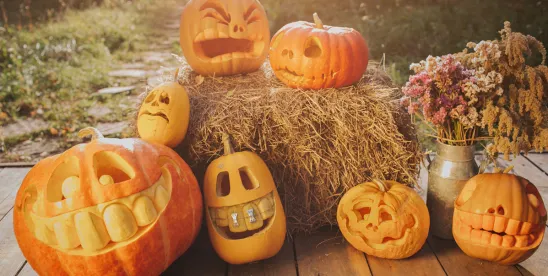 From Pumpkin to Pie- Transforming Raw AI Potential into Results