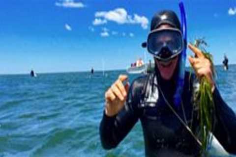 Exploring the World of Community Organizations in Northern Virginia