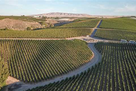 Sustainable Practices in the Wine Industry of Southwest Washington