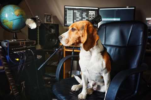 Monday Morning Accounting News Brief: Guy Ditches Big 4 For the 1s and 2s; Auditors Warned the..