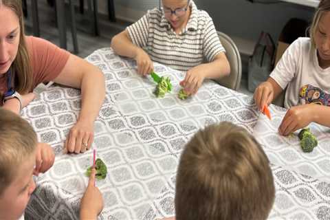 The Impact of Food Programs on Children in Southern New Hampshire