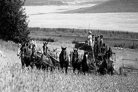 Maximizing Tax Benefits for Small Farms in Southeastern Washington