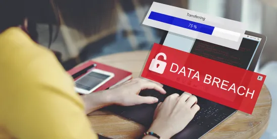 Two Years After Webb- First Circuit Courts Find Standing in Data Breach Class Actions